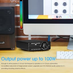 Douk Audio G4 Mini Subwoofer / Full-Frequency Mono Channel Digital Amplifier HiFi Audio 100W Home Desktop Power Amp