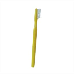Dental Plush Toys With Teeth Model Toothbrush For Kids Children Stuffed Animals Dentist Soft Dolls Dentistry Accessories Gifts