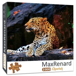 MaxRenard 50*70cm Jigsaw Puzzles 1000 Pieces Assembling Picture Van Gogh Painting Starry Night Art Puzzles Toys for Adults Games