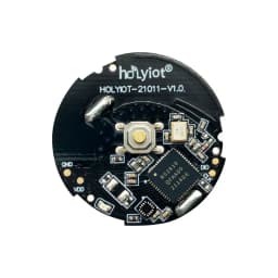 Holyiot NRF52810 BLE 5.0 High Performance Low Power Consumption Module Indoor Positioning