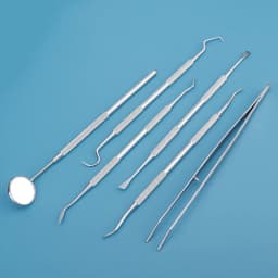 Reusable Portable Dental Oral Care Kit Teeth Cleaning Tools Set Professional Dentist Instruments for Home Travel Daily Use