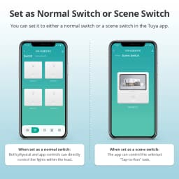 Zemismart Zigbee US AU Wall Light Switch with Neutral 1 2 3 4 6 Gangs Smart Interruptor Work with Tuya Alexa Google Home