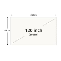 VEIDADZ Projector Screen 60 72 84 100 120 130 in White Grid Anti-Light 160° Viewing Angle Reflective Screen Indoor Outdoor Movie