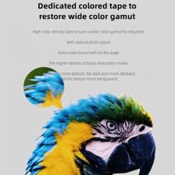 MIjia Photo Printer Dedicated 6-inch 80 pcs Back Self-adhesive Photo Paper Colored Tape Set HD Protective Film Photo Papers