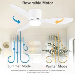 IRALAN Ceiling Fan With Light, 42 Inch/52 Inch Low Profile Ceiling Fan With Remote Control, For Indoor and Covered Outdoor