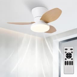 Ceiling Fan with 30W Led Light, Silent Dc Motor Ø80Cm, 6 Speeds with Remote Control, Winter-Summer Function, 3 Temperatures and Timer, Modern Fan Lamp for Bedroom and Living Room