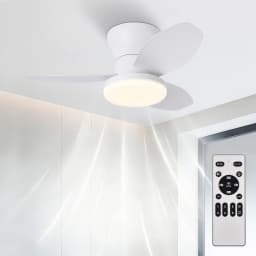 Ceiling Fan with 30W Led Light, Silent Dc Motor Ø80Cm, 6 Speeds with Remote Control, Winter-Summer Function, 3 Temperatures and Timer, Modern Fan Lamp for Bedroom and Living Room
