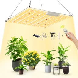 LED Grow Light 500W 600W 800W 1000W Diode Full Spectrum Silent Quantum Board Used for Greenhouse Tent Hydroponic Plant