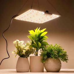 LED Grow Light 500W 600W 800W 1000W Diode Full Spectrum Silent Quantum Board Used for Greenhouse Tent Hydroponic Plant