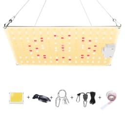 LED Grow Light 500W 600W 800W 1000W Diode Full Spectrum Silent Quantum Board Used for Greenhouse Tent Hydroponic Plant