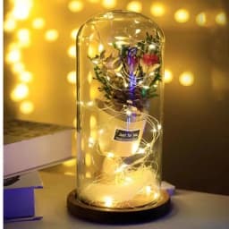 10pcs 6pcs Copper Wire LED String Lights Holiday Fairy Lights Garland Christmas Tree Decor Wedding Party DIY Natal Navidad 2022