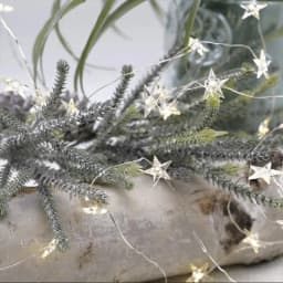 6M Star Fairy Lights Mini LED String Garland Decoration For Bedroom Garden Curtain Battery 3XAA Outdoor Wedding Party Lighting