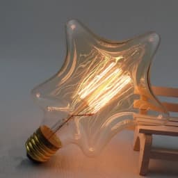 Edison Bulb E27 Warm White 40W 60W ST64 G95 G80 G125 220V Carbon Retro Light Bulb Tungsten Silk Light Bar Window Decoration