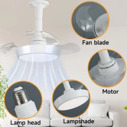 Modern Ceiling Fan (With Lighting) Silent LED Dimmable Ceiling Fan (With Remote Control) for Bedroom Study Dining Room