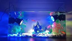 IP68 Waterproof LED Underwater Light Bluetooth APP Remote Control Night Lamp Swimming Pool Fountains Pond Aquarium Spot Light