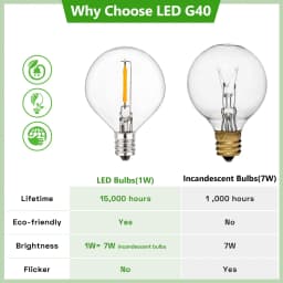 Vintage G40 Led String Light Replacement Bulb 1W Plastic Shatterproof Globe Mini Ball Lamp E12 Base 2200K PET Edison Light Bulbs