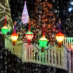 Christmas Bubble Light Bulbs Traditional Christmas Bubble Lights 3pcs Replacement Bulbs Red Blue Classic Christmas Lights Bulbs