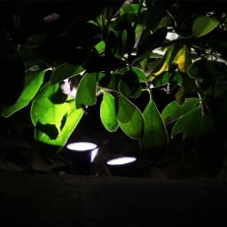 Outdoor Solar Lights Pathway Patio Lawn Ground Lamp IP65 Waterproof Landscape Spotlights Garden Decoration Outdoor Lights
