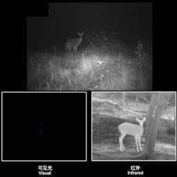 IR850 940nm Infrared LED Zoom High Bright Night Vision Infrared Fill Light Tactical Hunting Flashlight IR Fill Lighting Lamp