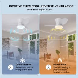 Nordic Fan Lights, Bedrooms, Study Rooms, Dining Rooms, Modern and Minimalist Ceiling Fan Lights, Children's Rooms, Commercial O