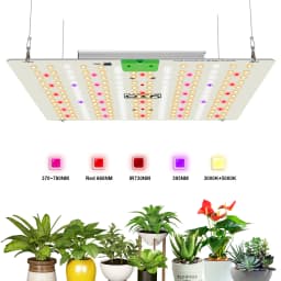 85W 180W LM281B+ PRO LED Grow Light Full Spectrum Phyto Lamp Quantum LED Grow Lamp For Greenhouse Hydroponic Plant Growth Light
