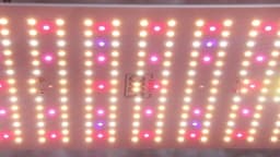 85W 180W LM281B+ PRO LED Grow Light Full Spectrum Phyto Lamp Quantum LED Grow Lamp For Greenhouse Hydroponic Plant Growth Light