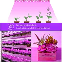 5V Plant Light Grow LED Strip 5V USB LED 1-5m Full Spectrum LED Chip For Greenhouse Flower Seedling Grow Tent Hydropon
