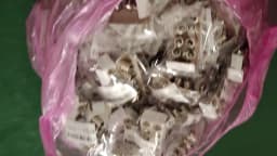 10pcs E10 1.5V 2.5V 3.8V 4.8V 6V 6.2V Little Bulb for Test Experiment Teaching Flashlight