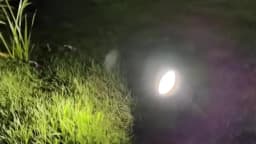 LED COB Garden Lighting 5W 7W 10W 15W Outdoor Spike Lawn Lamp Waterproof Lighting Garden Path Spotlights AC110V 220V DC12V 24V
