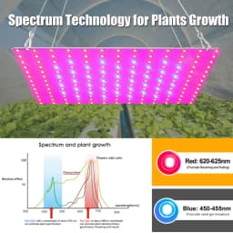 LED Plant Grow Light 81/169 Beads Full Spectrum Hydroponic Growing Lamp Plants Phyto Veg Flower Indoor Ultrathin Panel Phytolamp