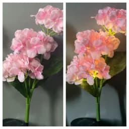 3-7 Heads Solar Lights Outdoor Decorative Solar Dandelion Garden Lights Rose Flower Lawn Lamp for Yard Patio Garden Decor
