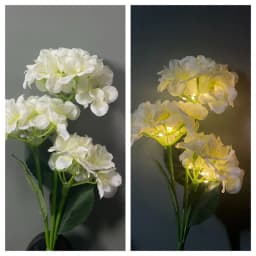 3-7 Heads Solar Lights Outdoor Decorative Solar Dandelion Garden Lights Rose Flower Lawn Lamp for Yard Patio Garden Decor