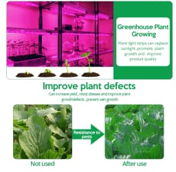 5V USB Led Plant Grow Light Full Spectrum Phyto Lamp 1m 2m 3m Strip For Seeds Flower Greenhouse Tent Hydroponic Plants Lighting