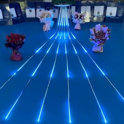 16.5FT 5M 24V Flow LED Strip Track Light Waterproof DC24 SMD2835 For Outdoor Flexible Linear Strip Decorative Backlit Neon Light