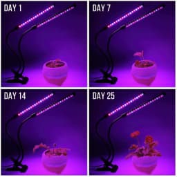 USB LED Plant Grow Light Indoor Garden 10 Dimmable Levels Grow Light Full Spectrum Timer Setting Hydroponic Greenhouse 3H/9H/12H