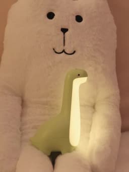 Dinosaur Night Light Cute Children's Night Light Eye Protection Bedside Timing Lamp USB Charging Room Decoration Children's Gift