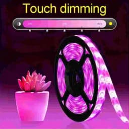 1M/2M/3M/5M/10M LED Full Spectrum LED Plant Growth Light 60 Lamp Beads/M Strip LED Fitolampy Greenhouse Plant Seed Growth Light