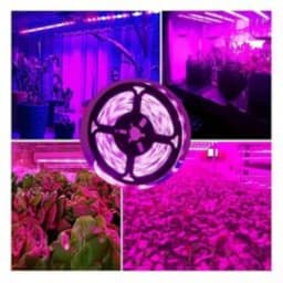 1M/2M/3M/5M/10M LED Full Spectrum LED Plant Growth Light 60 Lamp Beads/M Strip LED Fitolampy Greenhouse Plant Seed Growth Light