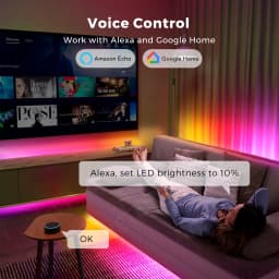 Tuya Smart WIFI RGBIC COB LED Strip Light Tape Addressable Flexible RGB Neon LED Light 24V APP Control Support Alexa Google Home