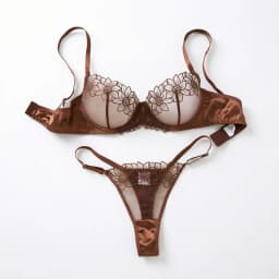 Lafis Sexy and Alluring Floral Embroidery Women's Underwear Set - Alluring Sexy Two-Piece Bra and Underwear Set ZA825126