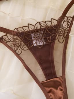 Lafis Sexy and Alluring Floral Embroidery Women's Underwear Set - Alluring Sexy Two-Piece Bra and Underwear Set ZA825126