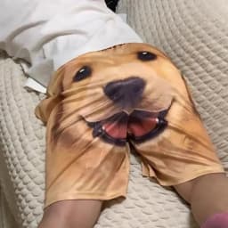 Fashion Funny Pets Dog Shorts Casual 3D Printed Men's Shorts Summer Cute Cute Animal Shorts Walking Home Sleepwear
