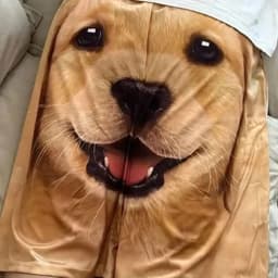 Fashion Funny Pets Dog Shorts Casual 3D Printed Men's Shorts Summer Cute Cute Animal Shorts Walking Home Sleepwear