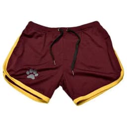 Beach Pants Summer Sports Men's Muscle Fitness Casual Mesh Breathable Pants Running Training Quick Dry Breathable Shorts