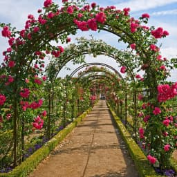 Metal Garden Arch Climbing Plant Trellis Outdoor Arbors Wedding Arch
