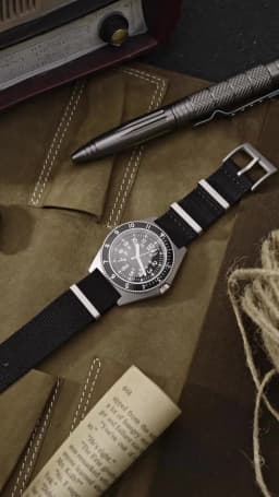 Watchdives WD1972 Quartz Watch VH31 Sweep Seconds Movement Sapphire Crystal BGW9 Luminous 20Bar Waterproof Vintage Men Watches