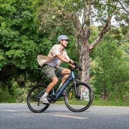 HillMiles MileTrail Electric Mountain Bike, 250W, 36V 13Ah Battery, 25km/h, Front Suspension, 7-Speed, Mechanical Disc Brakes