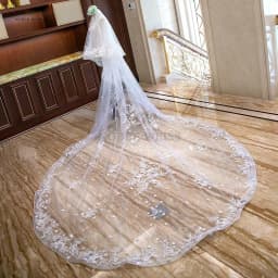 Long Wedding Veils with Comb Two Layers Appliques Bride Veil Lace Edge Tulle Veils Accessories 3m*4m Customized