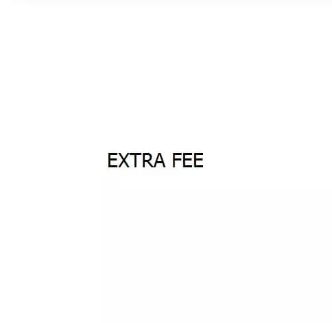Wedding veil Bride veil Extra Fee/Plus Size/Custom-Made/Express Shipping Fee Custom veil