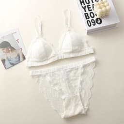 Women Lace Bra And Panties Set Embroidery Lace Bralette Underwear Set Push Up Brassiere Low Briefs Female Sexy Lingerie Set